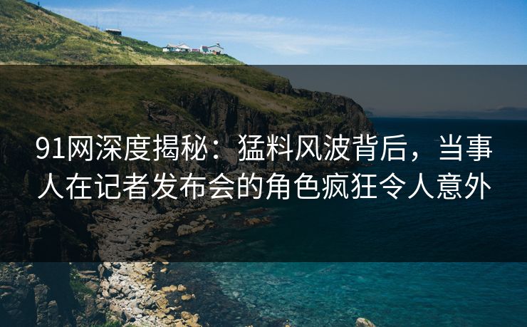 91网深度揭秘：猛料风波背后，当事人在记者发布会的角色疯狂令人意外