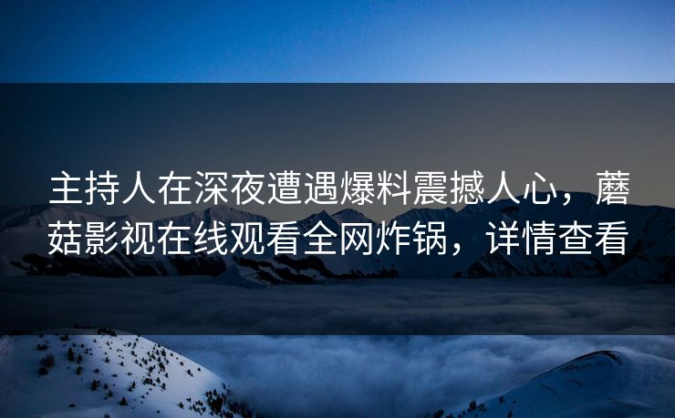 主持人在深夜遭遇爆料震撼人心，蘑菇影视在线观看全网炸锅，详情查看