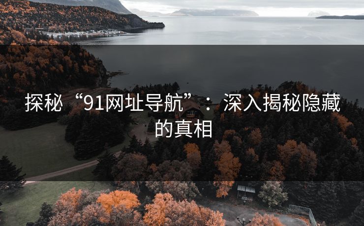 探秘“91网址导航”:深入揭秘隐藏的真相 探秘“91网址导航”:深入揭秘隐藏的真相