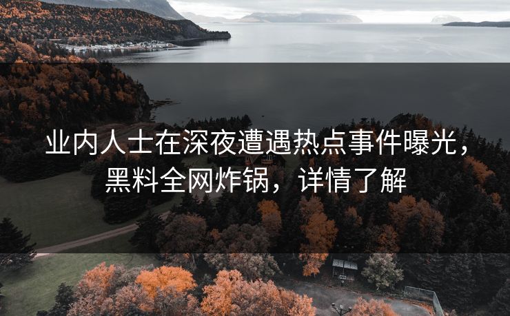 业内人士在深夜遭遇热点事件曝光，黑料全网炸锅，详情了解