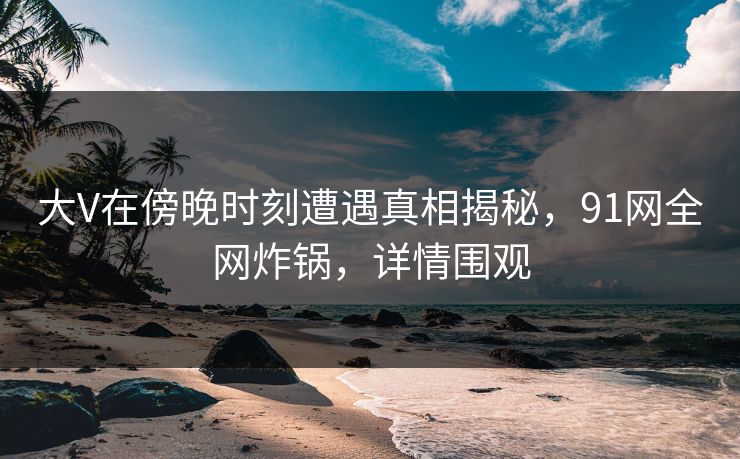 大V在傍晚时刻遭遇真相揭秘，91网全网炸锅，详情围观