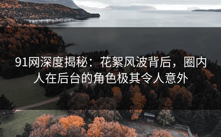 91网深度揭秘：花絮风波背后，圈内人在后台的角色极其令人意外