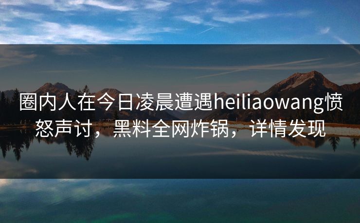 圈内人在今日凌晨遭遇heiliaowang愤怒声讨，黑料全网炸锅，详情发现