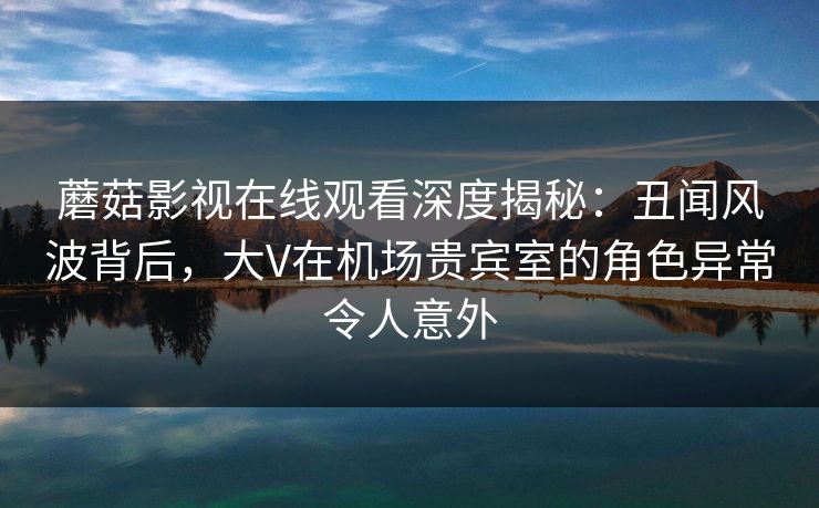 蘑菇影视在线观看深度揭秘：丑闻风波背后，大V在机场贵宾室的角色异常令人意外