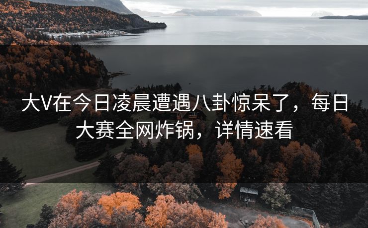大V在今日凌晨遭遇八卦惊呆了，每日大赛全网炸锅，详情速看