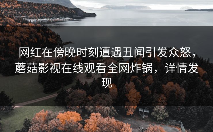网红在傍晚时刻遭遇丑闻引发众怒，蘑菇影视在线观看全网炸锅，详情发现