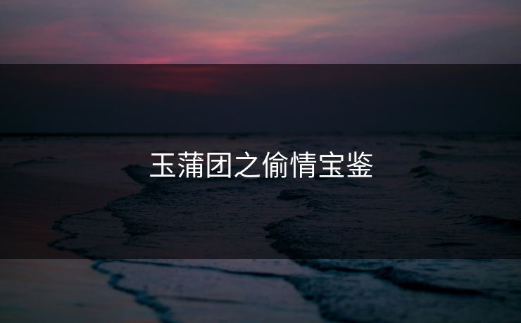 玉蒲团之偷情宝鉴