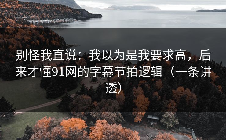 别怪我直说：我以为是我要求高，后来才懂91网的字幕节拍逻辑（一条讲透）